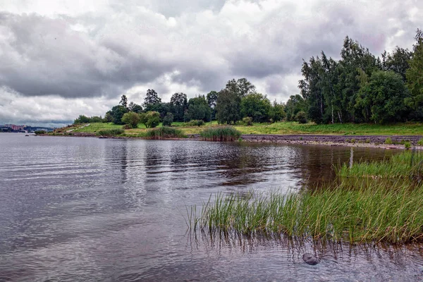 Bulutlu havada tenha nehir körfezi, ormanlık kıyı ve gök gürültüsü bulutları