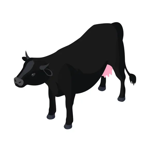 Isometric Vector Illustration Black Cow Isometric Animal Cow Cows Collection — Stock Vector