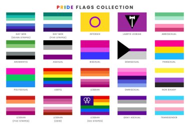 Collection of gender identity pride flags.Vector illustration of sexual identity flags. clipart