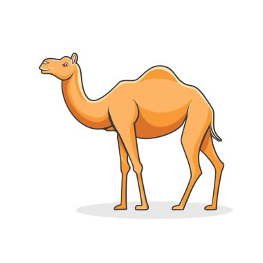 Tasarım ve dekorasyon için sevimli, hayvan renkli bir deve vektör çizimi.