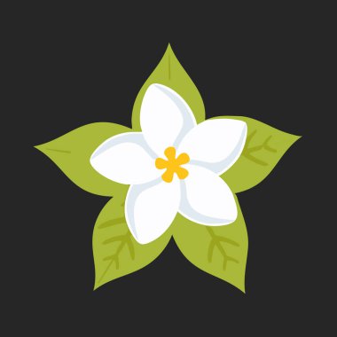 Sarı Merkez ve Yeşil Yapraklı Minimalist Beyaz Çiçek Siyah Arkaplanda, Botanik ve Tasarım Projeleri İçin Mükemmel.