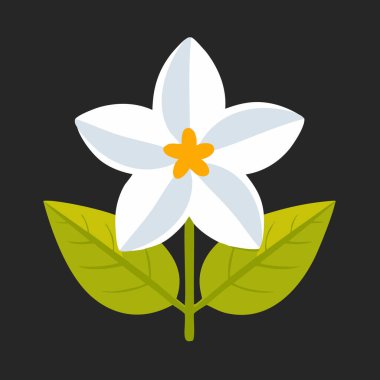 Sarı merkezli, yeşil yapraklı, doğa, bahçe ya da bahar tasarımları için mükemmel beyaz bir çiçeğin parlak düz çizimi.