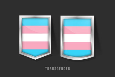 Mavi, Pembe ve Beyaz Çizgili Transseksüel Metalik Kalkan Rozetleri, Görünürlüğü, Kimliği ve LGBTQ + Mahremiyeti Sembolize Ediyor