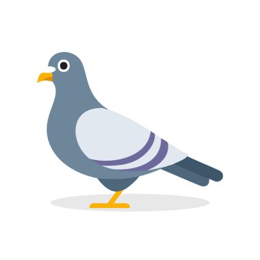 Güvercin vektör çizimi, Sevimli Kuş Karakteri görünümü.