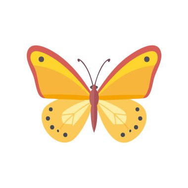 Bir Kelebeğin Vektör İllüstrasyonu, Güzel Böcek Dekor ve simgeler için Basit Karakter.