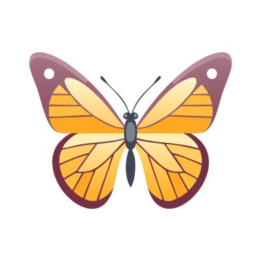 Bir kelebeğin vektör illüstrasyonu, dekor ve simgeler için güzel böcek karakteri.