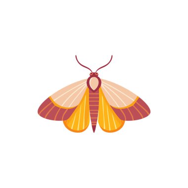 Güve Vektör İllüstrasyonu, Dekorasyon için Şirin Böcek Karakteri