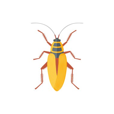Uzun antenli ve çizgili gövdeli renkli bir böceğin vektör çizimi, bilim, entomoloji, doğa temaları veya eğitici grafik tasarım kullanımı için idealdir.
