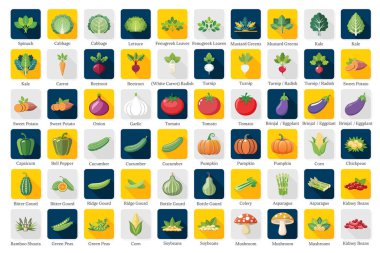 Sağlıklı Yaşam İçin Renkli Dijital Sanatta Ispanaktan Böbrek Fasulyesine Canlı Bir Sebze Koleksiyonu Keşfedin.