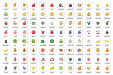 Tropikal ve Citrus Çeşitleriyle Renkli Meyve Simgesi.