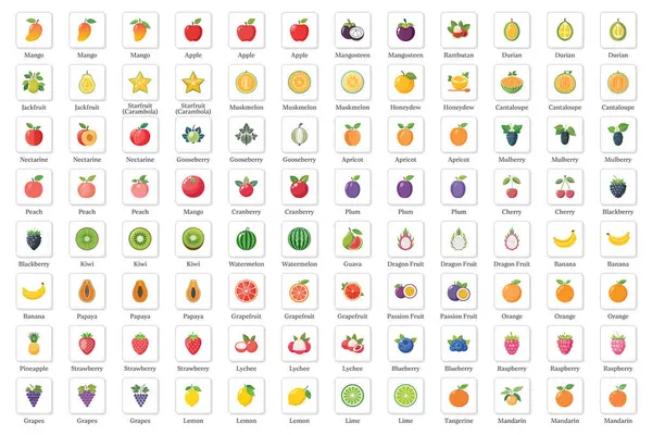Tropikal ve Citrus Çeşitleriyle Renkli Meyve Simgesi.