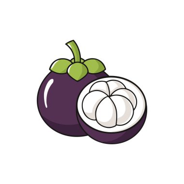 Mangosteen Illustration Whole and Cut, Mor Kabuklu Tropikal Meyve Grafiği.