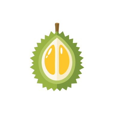 Kesik Durian 'ın Vektör Çizimi, Dikenli Yeşil Derili Tropikal Meyve ve ve Sarı Et.