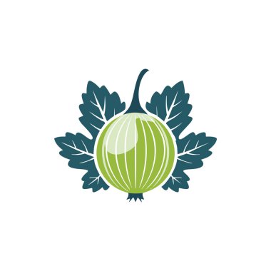 Taze Yeşil Bektaşi üzümlü ikon yapraklı, dekorasyon için tart dutlu.