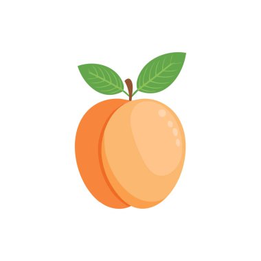 Yapraklı basit kayısı illüstrasyonu, Yaratıcı için Vektör Meyve Grafiği.