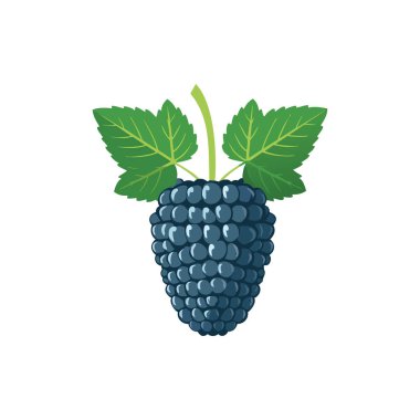 Yapraklı Koyu Böğürtlen Vektör Sanatı Basit Meyve Çizimi.