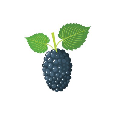 Yapraklı Minimalist Blackberry İllüstrasyonu, Vektör Meyve Tasarımı Sanatı.