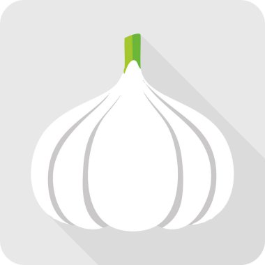 Gri Arkaplanda Tüm Sarımsak Ampulünün Düz Çizimi.