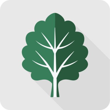 Gri Arkaplanda Bir Kale Yaprağının Düz Vektör ResmiComment.