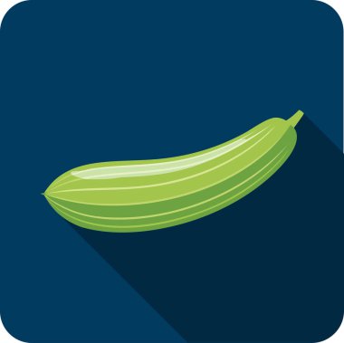 Koyu Mavi Arkaplan Üzerine Yeşil Sırt Kabağı Resimleri.