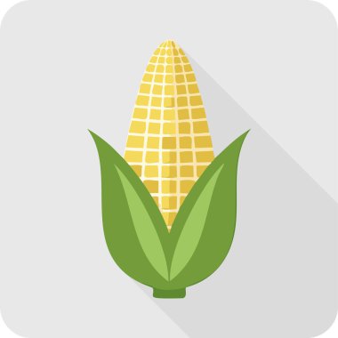 Gri Arkaplanda Yeşil Kabuklu Canlı Mısır Koçanı Resimleri.