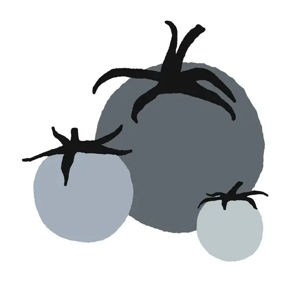 Hand Drawn Flat Tomato Illustration Isolated White Background Kitchen Menu — Stock Vector
