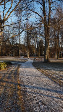 Parktaki güzel sonbahar manzarası. Yapraksız ağaçlar, asfalt yollar, fenerler, ilk kar..
