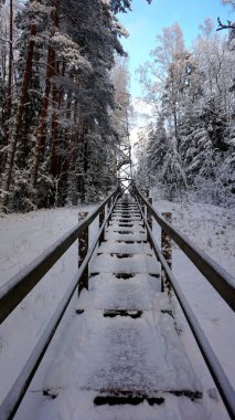 Kışın ormandaki kuleye çıkan tahta merdivenler.