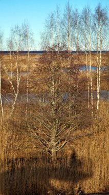 Babte Gölü 'nün yukarıdan görünüşü, gölün kıyısı sazlıklarla kaplıdır.