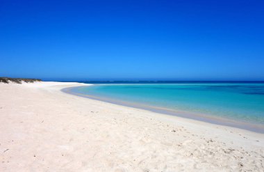Batı Avustralya 'daki Coral Bay