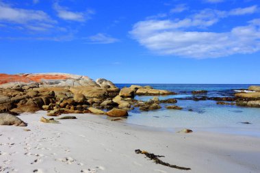 Tazmanya 'daki Ateş Koyu