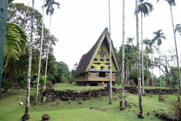 Traditional Palauan House with paintings on it next to palmtrees. High quality photo