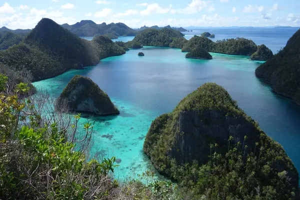 Endonezya 'daki Kireçtaşı Adaları Wayag Raja Ampat Gölü. Yüksek kalite fotoğraf