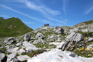 SAC Carschina, Switzerland Wanderer Season Summer with rocks and flowers, blue sky. High quality photo clipart
