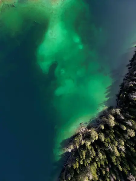 Almanya 'daki Blindsee Gölü' nün Üstten Aşağı Hava Droneshot 'u Avusturya Tirol Turkuaz Yeşil Su. Yüksek kalite fotoğraf