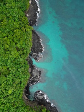 Doğu kıyısındaki Bali Endonezya 'daki Lava Ormanı ve Okyanusu' nun yukarıdan görünüşü. Yüksek kalite fotoğraf