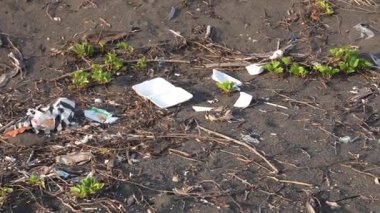 Doğal büyüme arasındaki görülebilir çöp çevresel sorunları ve olağanüstü esnekliği vurguluyor