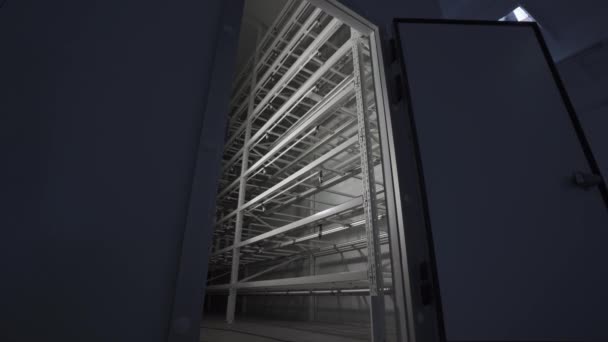 Eingang Einem Geschlossenen Gewächshaus Mit Künstlicher Beleuchtung Blick Aus Einem — Stockvideo