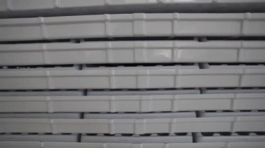 Serada yeşillik yetiştirmek için hücreleri olan paletler