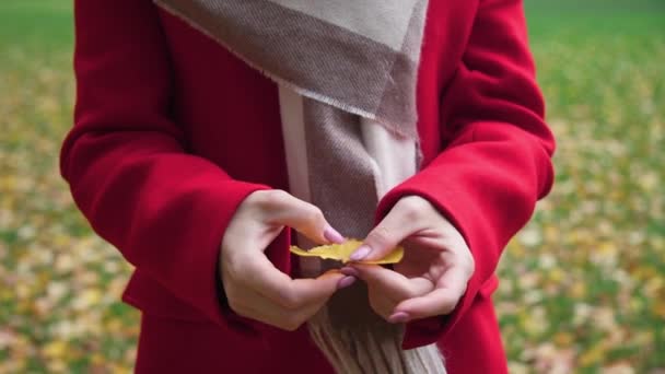 公园里的一个女孩正在看一片黄叶 一个穿红色外套的女孩秋天公园 慢动作 — 图库视频影像