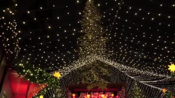Albero Capodanno Palcoscenico Vicino Alla Cattedrale Colonia Atmosfera Natale — Video Stock