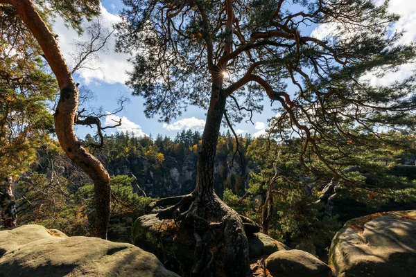 Rock şehrinin güzel manzarası