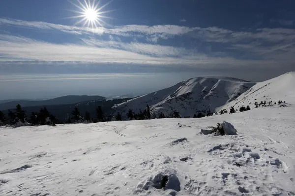 Güneş ve mavi gökyüzü ile güzel bir kış manzarası.