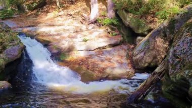 Dağ vadisinde güzel bir dere manzarası