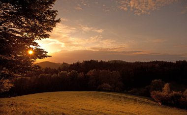 Gün batımında dağ çayırı manzarası