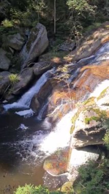 Dağ vadisindeki bir derenin çağlayanı