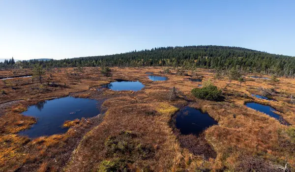 Çayır ve göllerle kaplı dağ manzarası