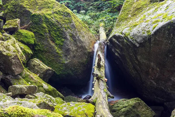 Düşen yapraklar ve şelalelerle sonbahar ormanı deresi, Dev Dağlar, Çek Dağları.