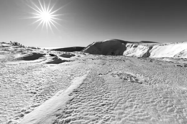 Beautiful winter landscape with snow and sun. Black and white. The Giant mountains.