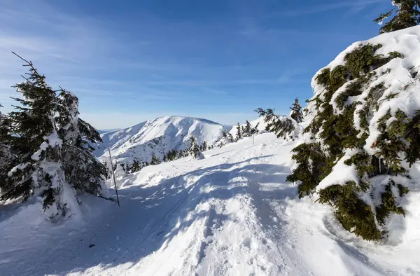 Kış dağ manzarası, dev dağlar..